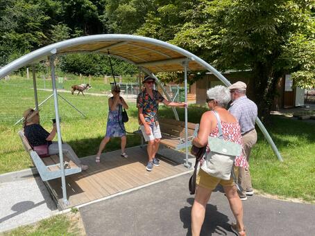 Generationenschaukel