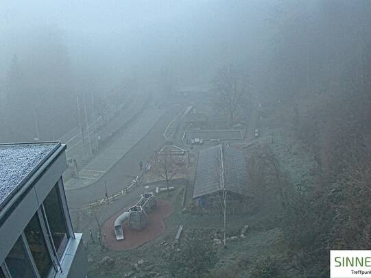 19. November 2025 07:59