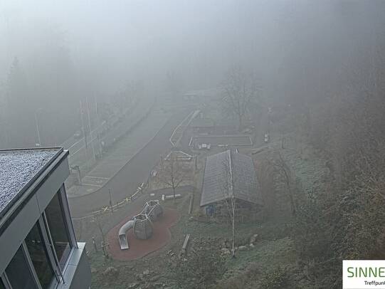 19. November 2025 08:59