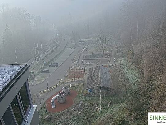 19. November 2025 09:59