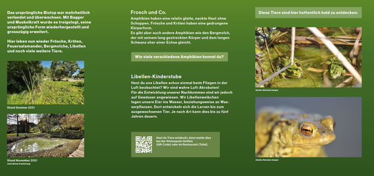 Kleingewässer und Biotop